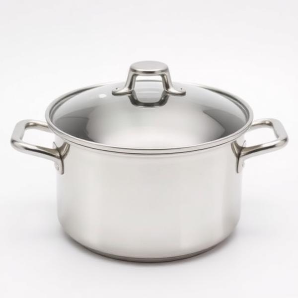 Olla de acero inoxidable 5 L con tapa de vidrio